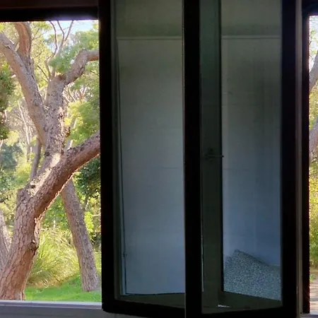 Dans Le Golf Сен-Рафаэль